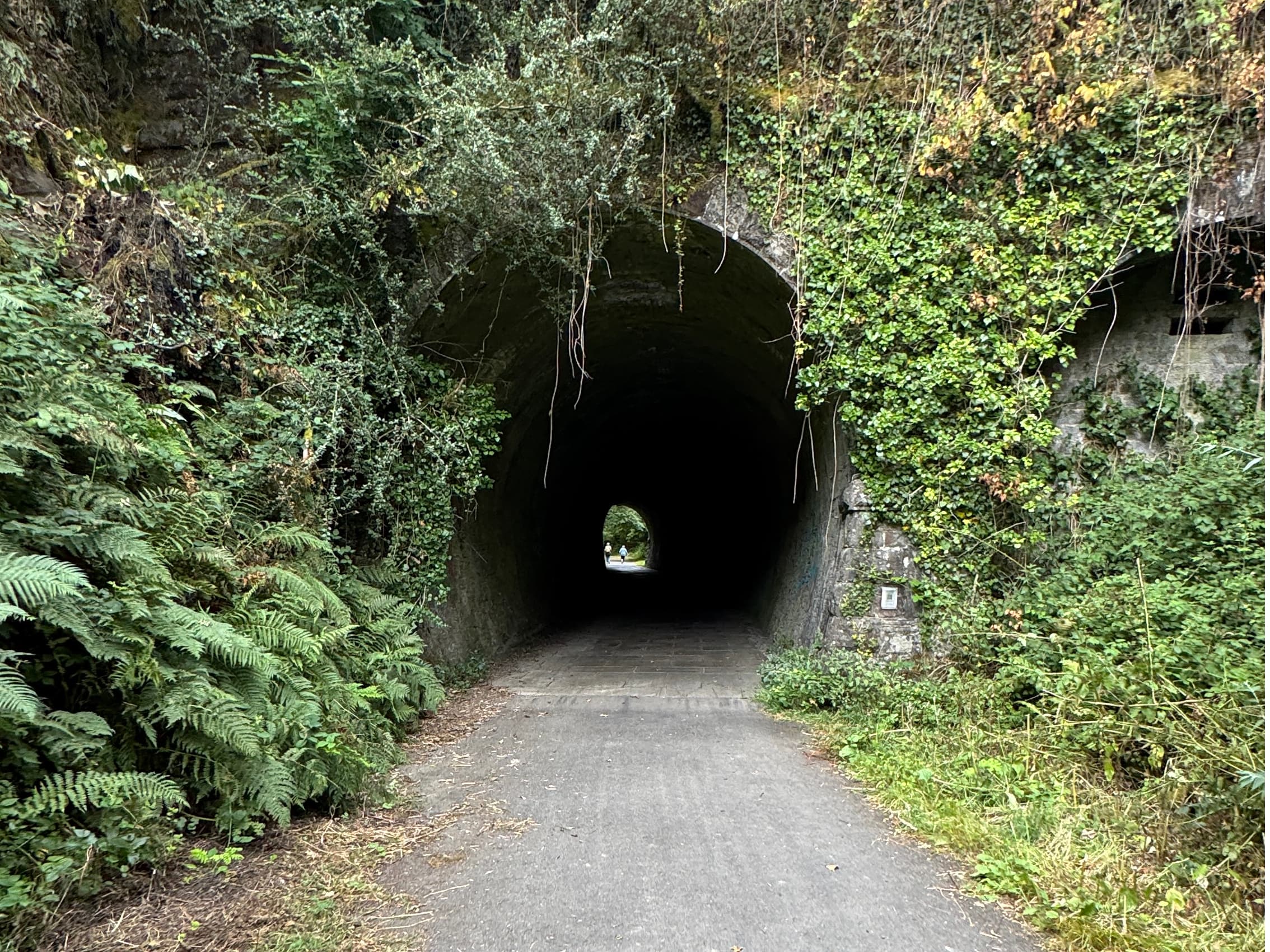 A paved greenway leading through an ivy-covered stone tunnel